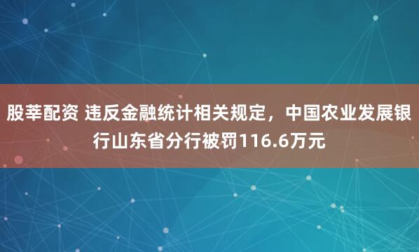 股莘配资 违反金融统计相关规定，中国农业发展银行山东省分行被罚116.6万元
