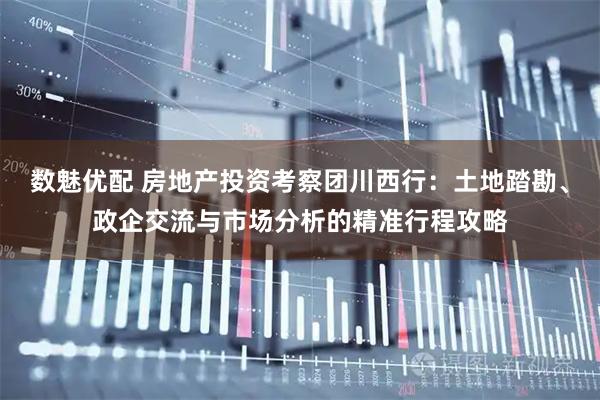 数魅优配 房地产投资考察团川西行：土地踏勘、政企交流与市场分析的精准行程攻略