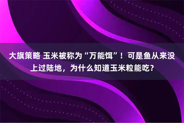 大旗策略 玉米被称为“万能饵”！可是鱼从来没上过陆地，为什么知道玉米粒能吃？